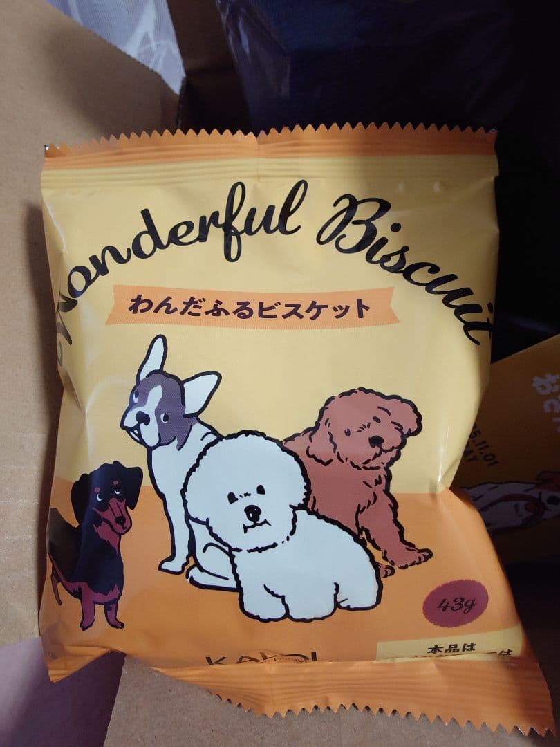 ✨️KALDI カルディ 2025 いぬの日おさんぽバッグ プレミアムセット✨️