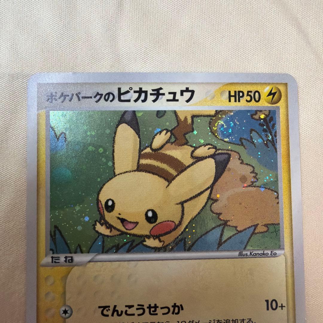 ポケモンカードゲーム ポケパーク限定 フォレストシート 開封済