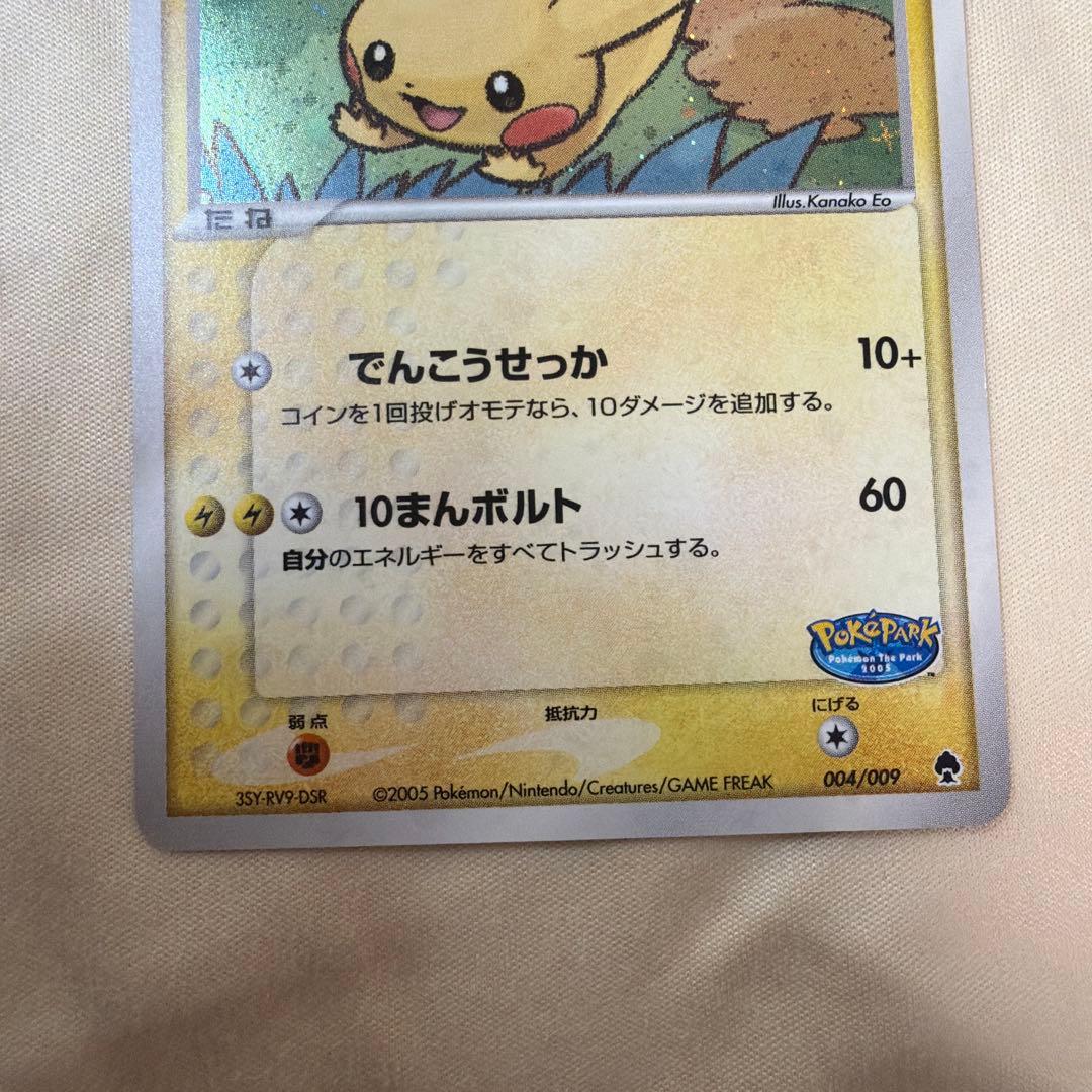 ポケモンカードゲーム ポケパーク限定 フォレストシート 開封済