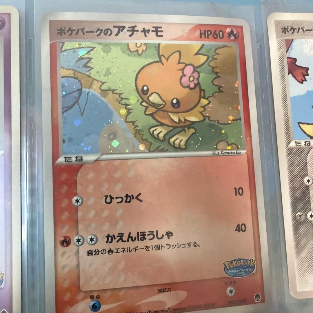 ポケモンカードゲーム ポケパーク限定 フォレストシート 開封済