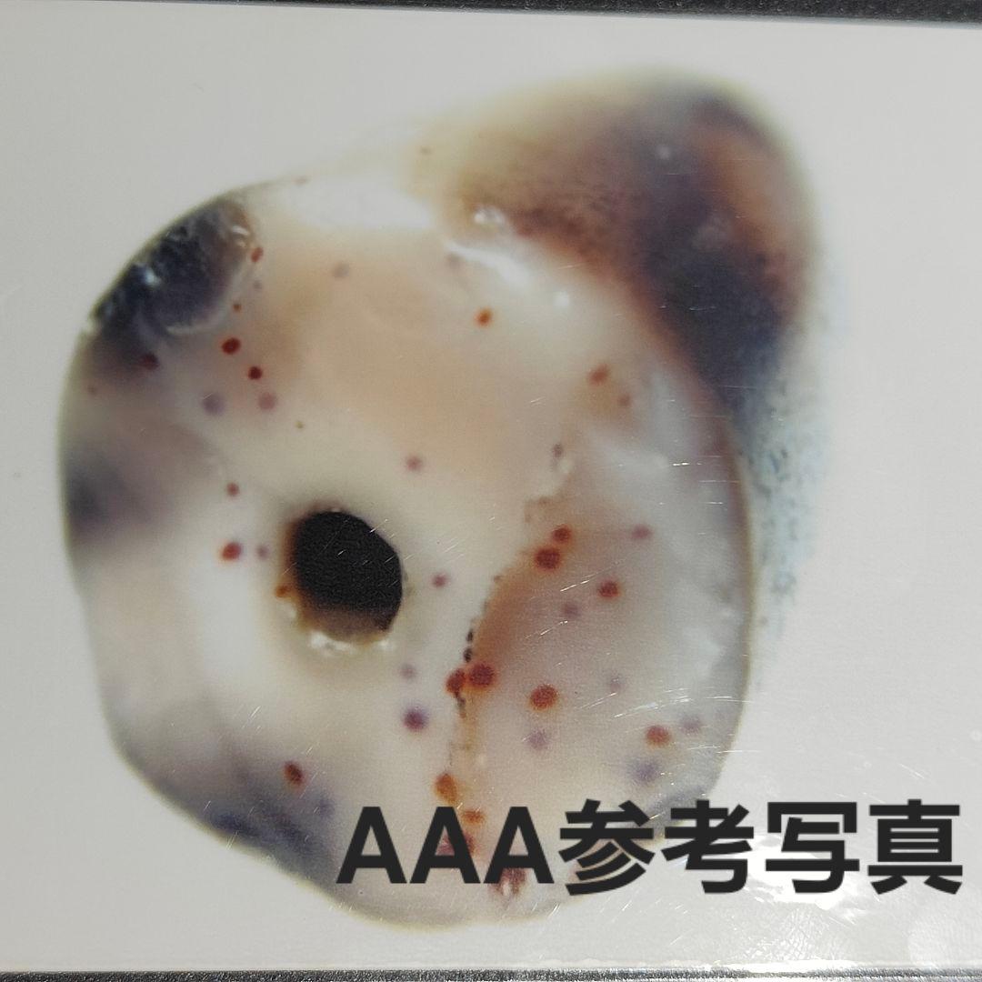 9 老礦天珠　特殊三眼天珠　天珠　天然石　風水　御守り　ブレスレット　ネックレス