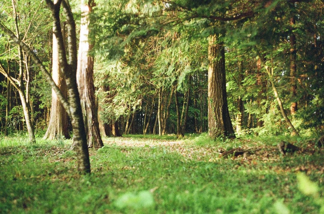 MAMIYA ZM Quartz　50mm/28mmレンズセット