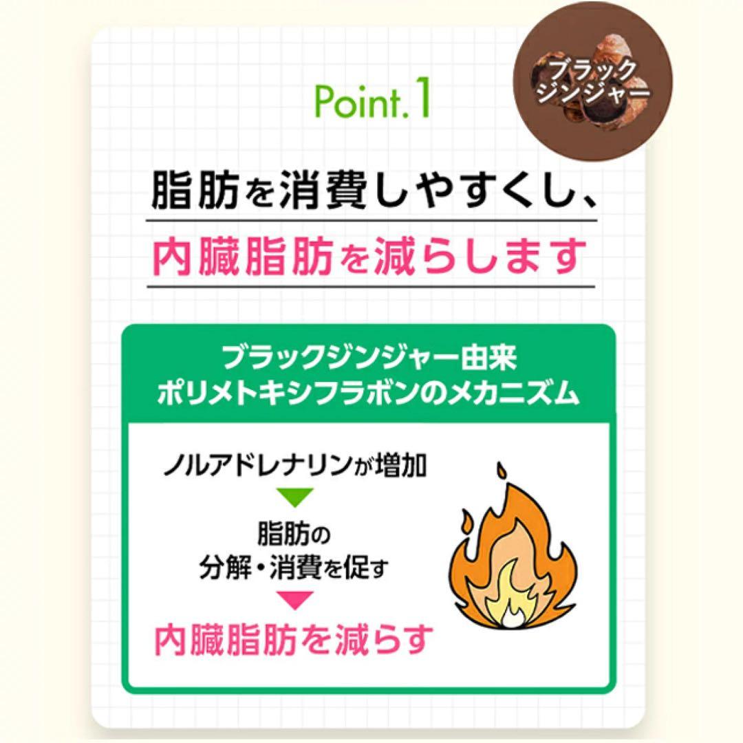 ファンケル 内脂サポート 30日分5袋〈150日分+増量〉