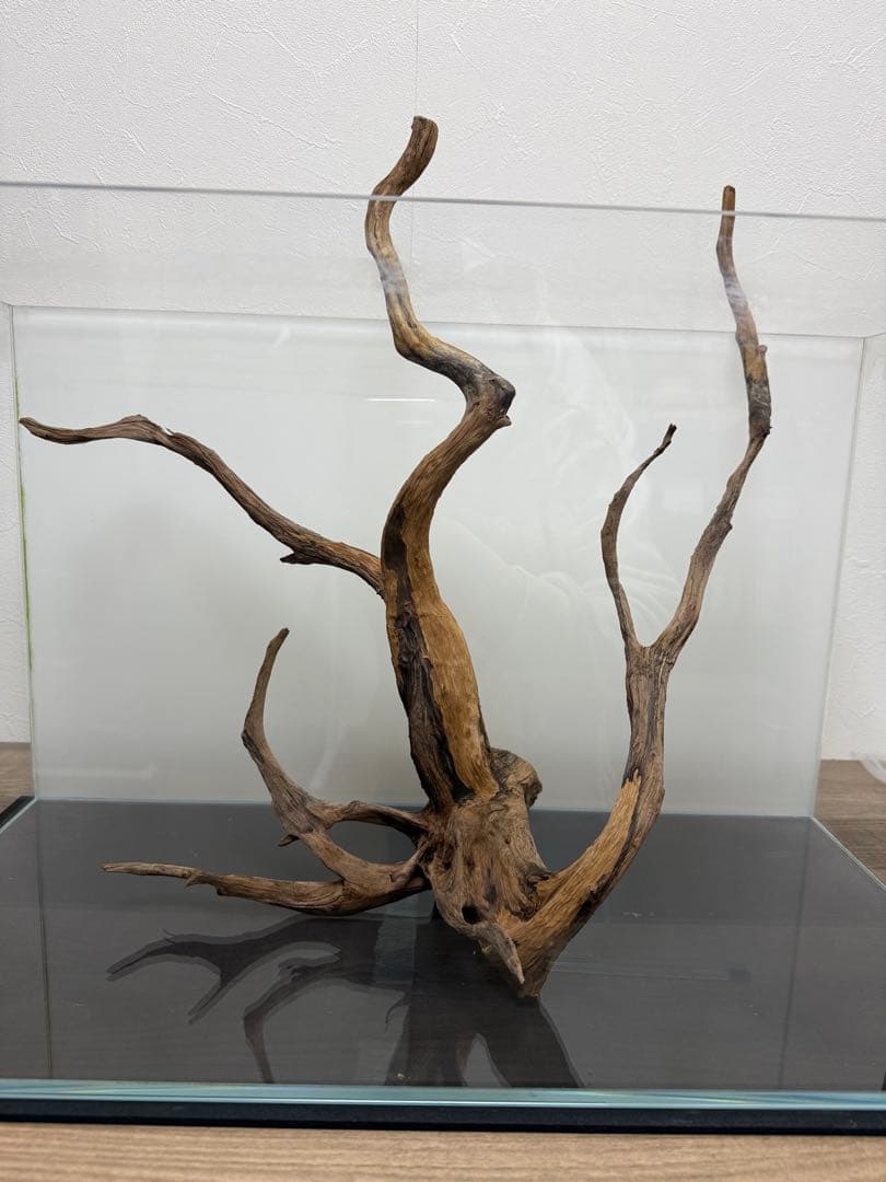 ADA60cm水槽フルセット
