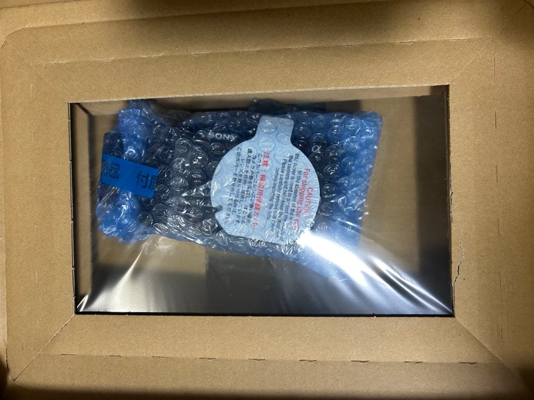 【ジャンク】SONY zve10