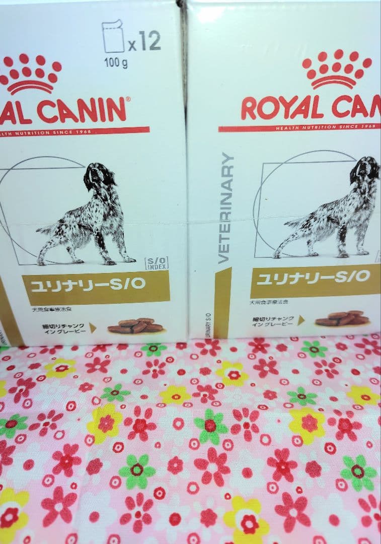  CANIN ユリナリー-S/O 100g x 24