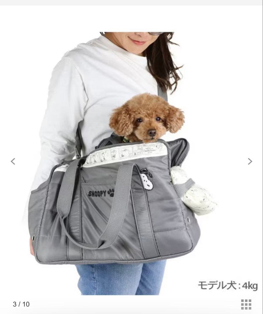 ＊ペットパラダイス　SNOOPY キャリーバッグ　Sサイズ＊
