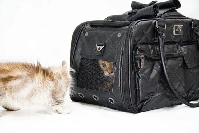 お買い得 ペティーク ラックス ペットキャリーバッグ ボストンバッグ 犬 ねこ
