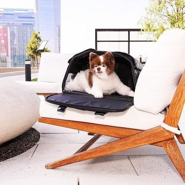 お買い得 ペティーク ラックス ペットキャリーバッグ ボストンバッグ 犬 ねこ