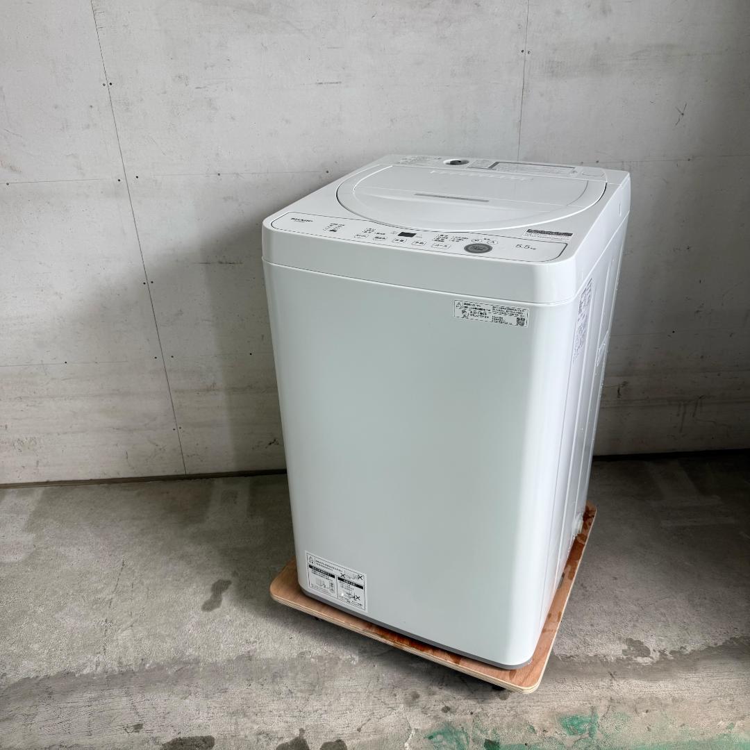 分解洗浄済み！SHARP 洗濯機 小型 一人暮らし 5.5kg 2024年製