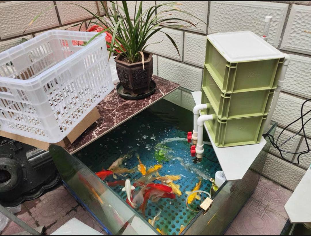 100本市場最安値多孔質セラミック製水槽池用濾過材淡水魚海水魚水質浄化ろ材