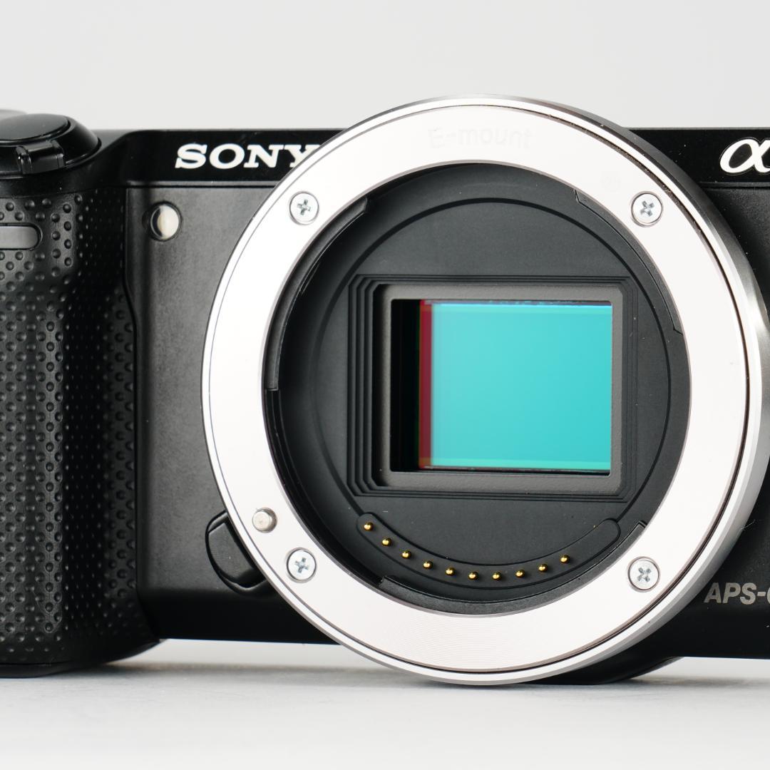 S2392回極美品✨軽量218g旅行最適 SONY NEX-5T ミラーレス