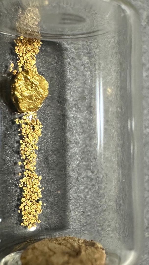 砂金　小さな　観賞・資料用