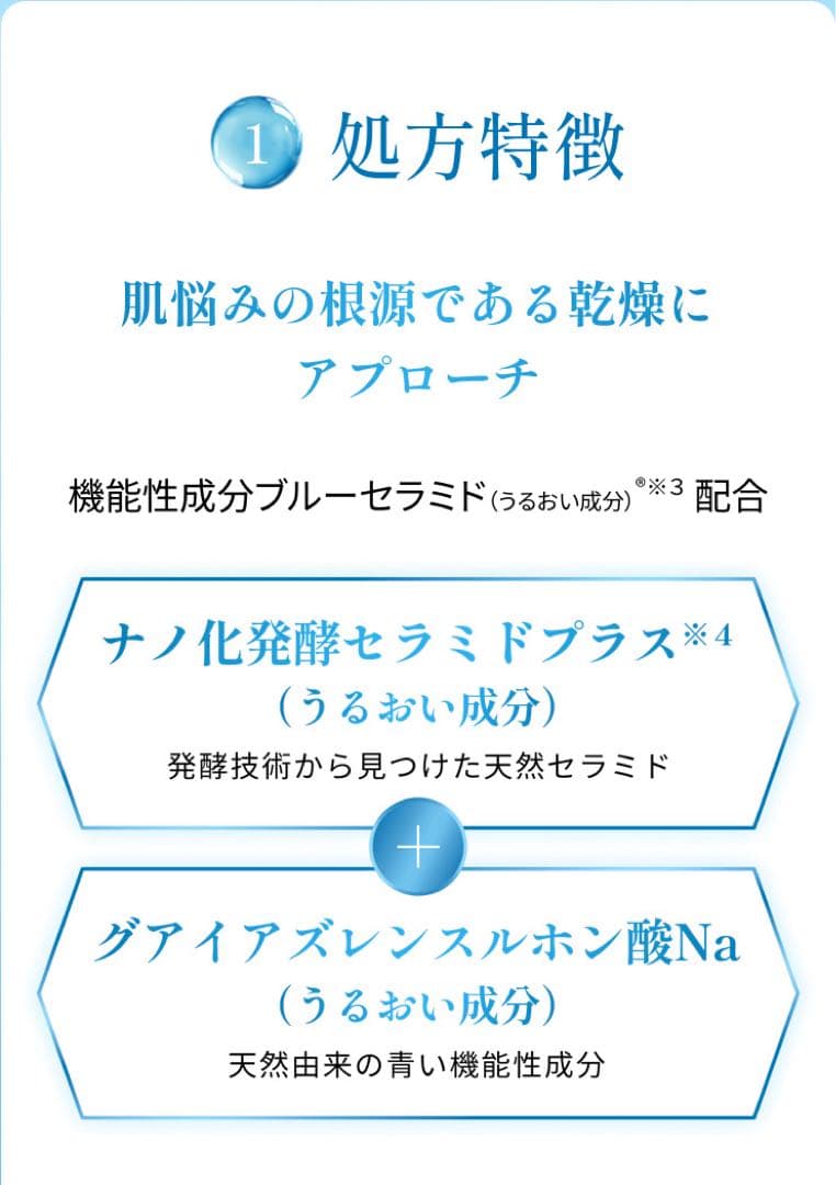 ブルーミオ 化粧水145mL＆乳液25g ×２ ロート製薬