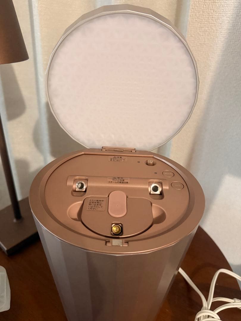 YA-MAN ヤーマン フォトスチーマー IS-100 美顔器