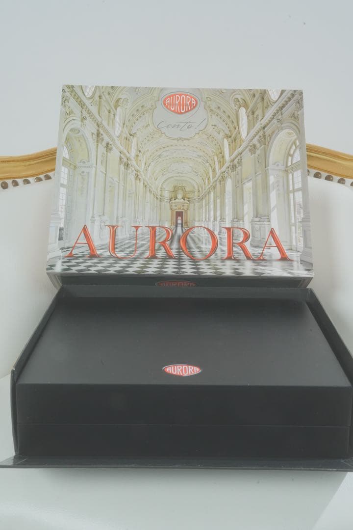 アウロラ Aurora 万年筆 レジーナ 世界919本限定 新品 未使用品