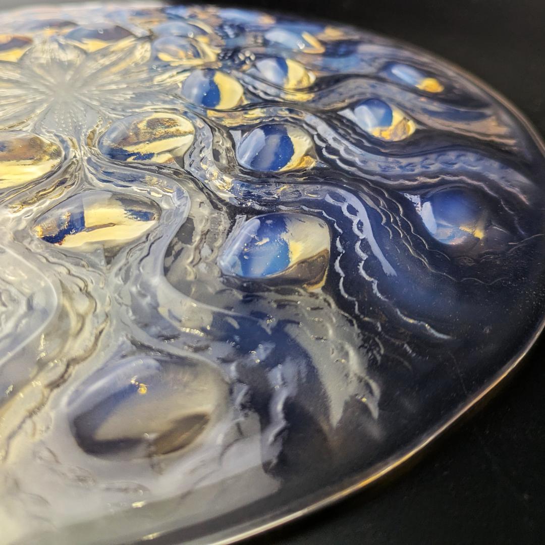 ルネ・ラリック 1935年 Bulbes オパルセント大皿 R.LALIQUE