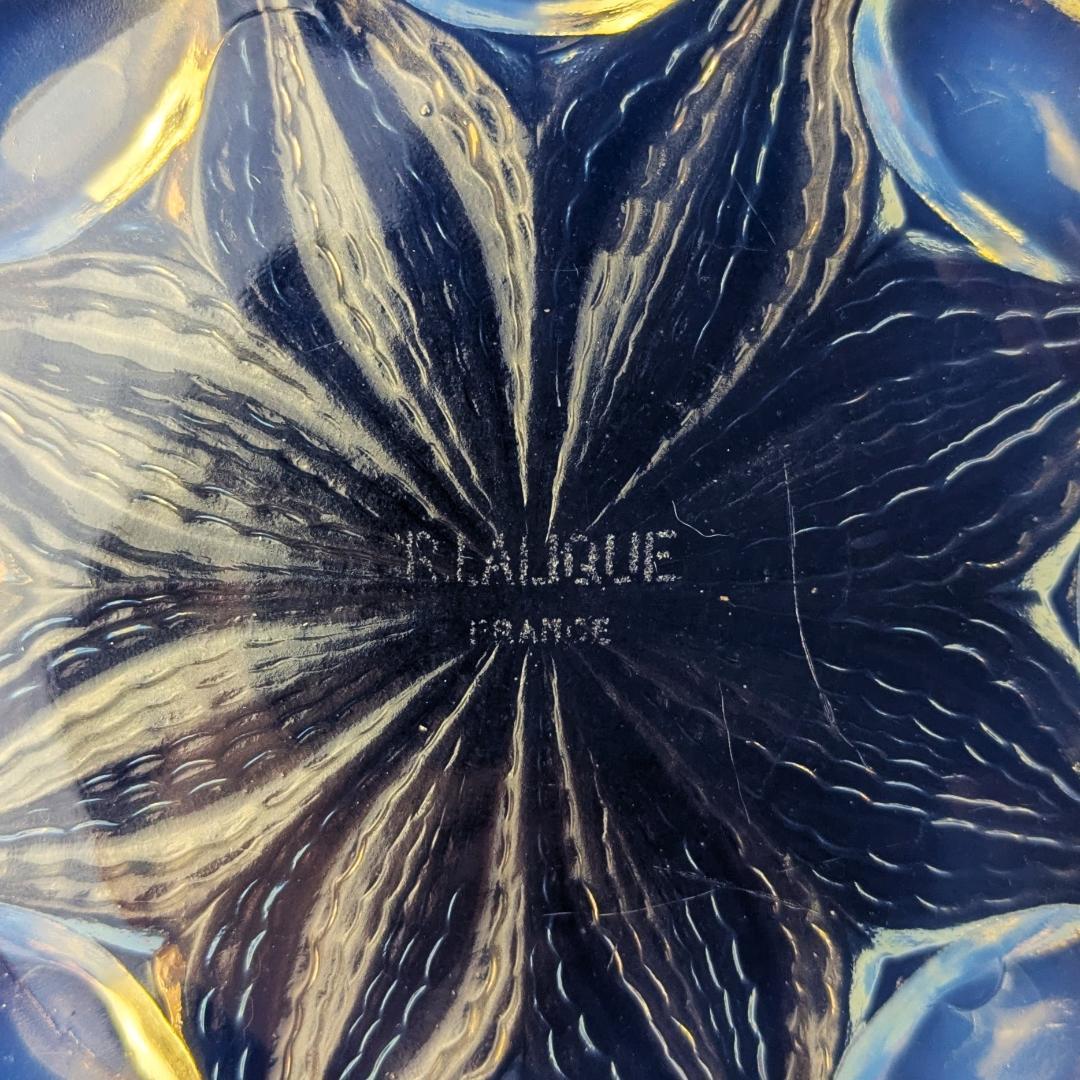 ルネ・ラリック 1935年 Bulbes オパルセント大皿 R.LALIQUE