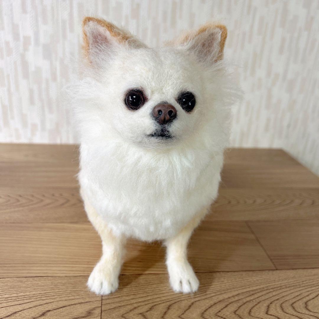 チャッピー様　オーダー専用　羊毛フェルト　犬　羊毛フェルトチワワ