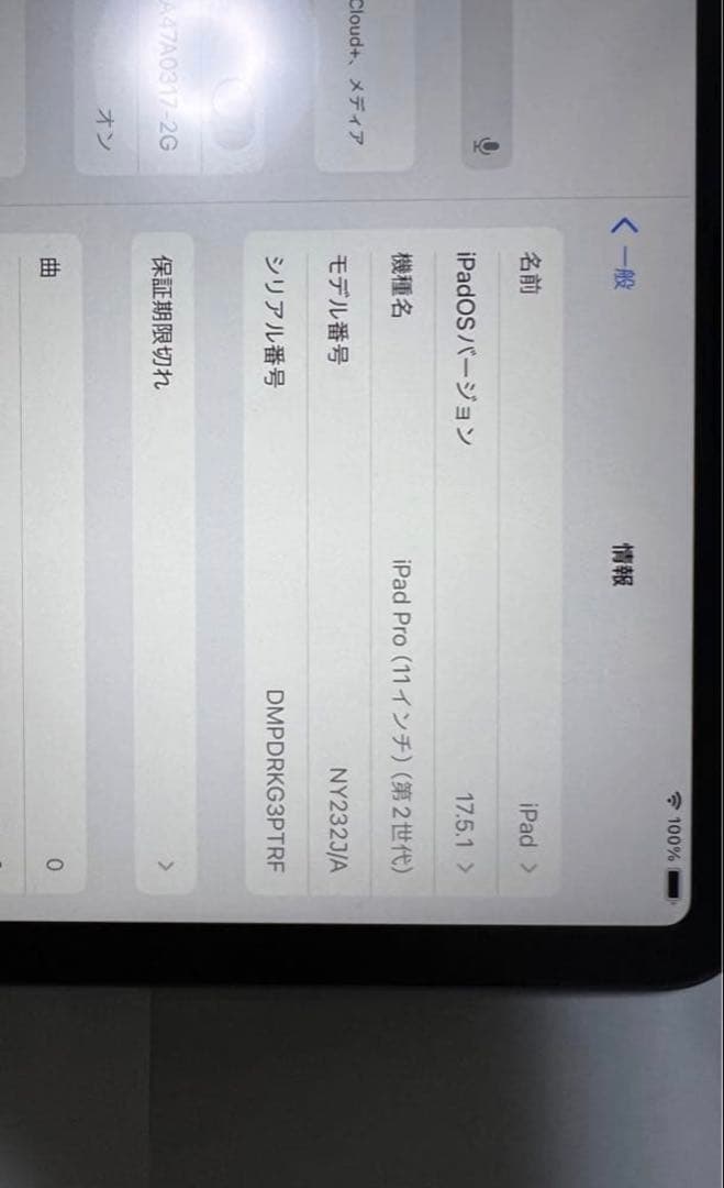 iPad Pro (第2世代) （11インチ）スペースグレー