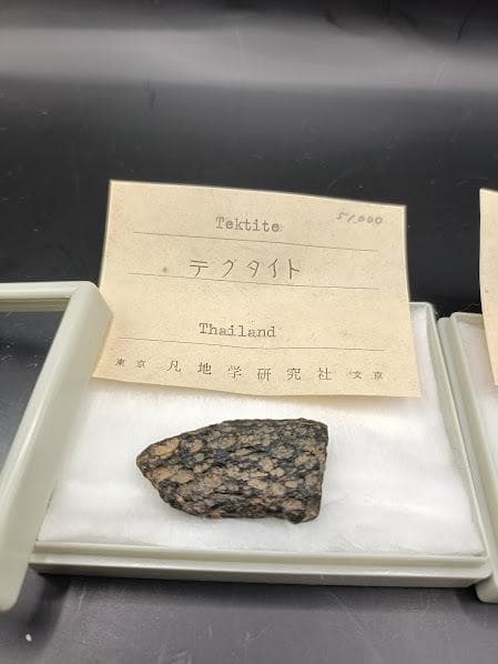テクタイト Tektite タイ産 2点セット 凡地学研究社 ラベル付き