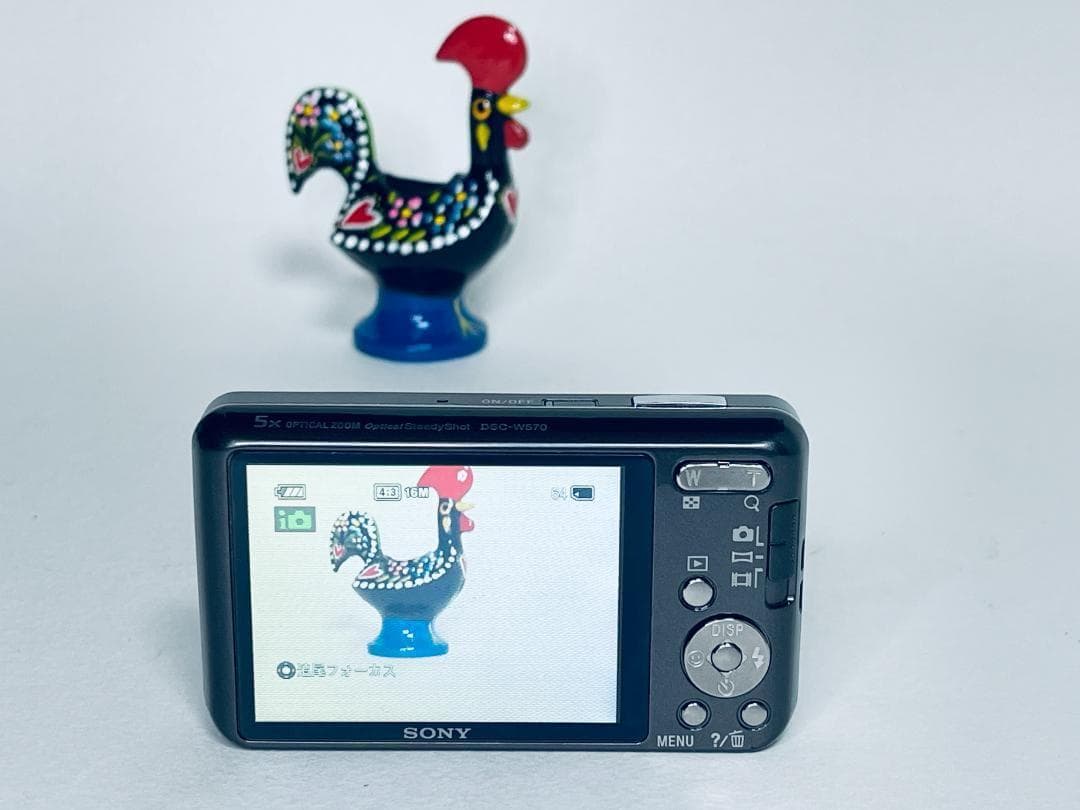 動作OK ソニー SONY Cyber-shot DSC-W570 デジカメ