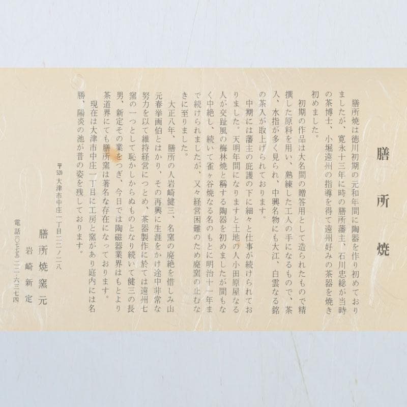 茶道具　膳所焼　淡海ぜぜ　陽炎園造　而妙斎筆　茶碗　共箱　V　9555