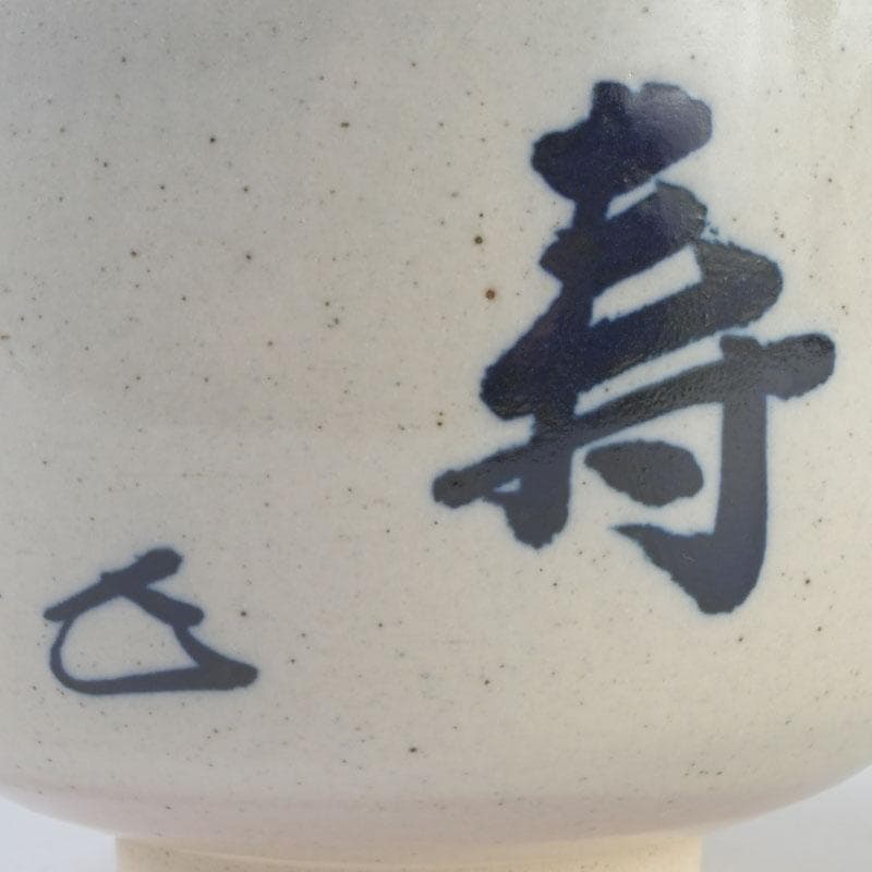 茶道具　膳所焼　淡海ぜぜ　陽炎園造　而妙斎筆　茶碗　共箱　V　9555