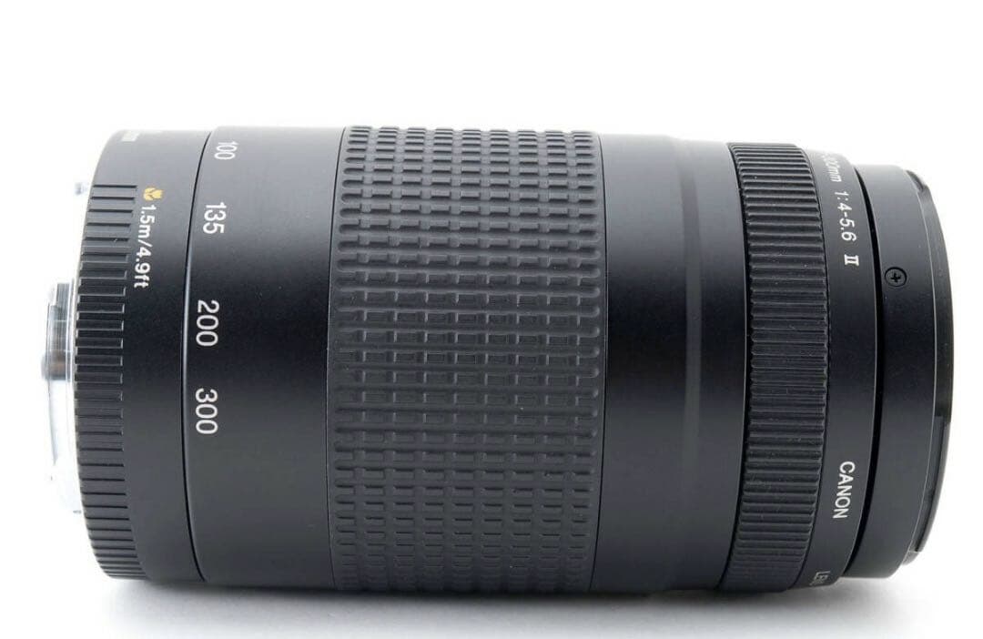 大人気♪【超望遠レンズ】Canon EF 75-300mm Ⅱ
