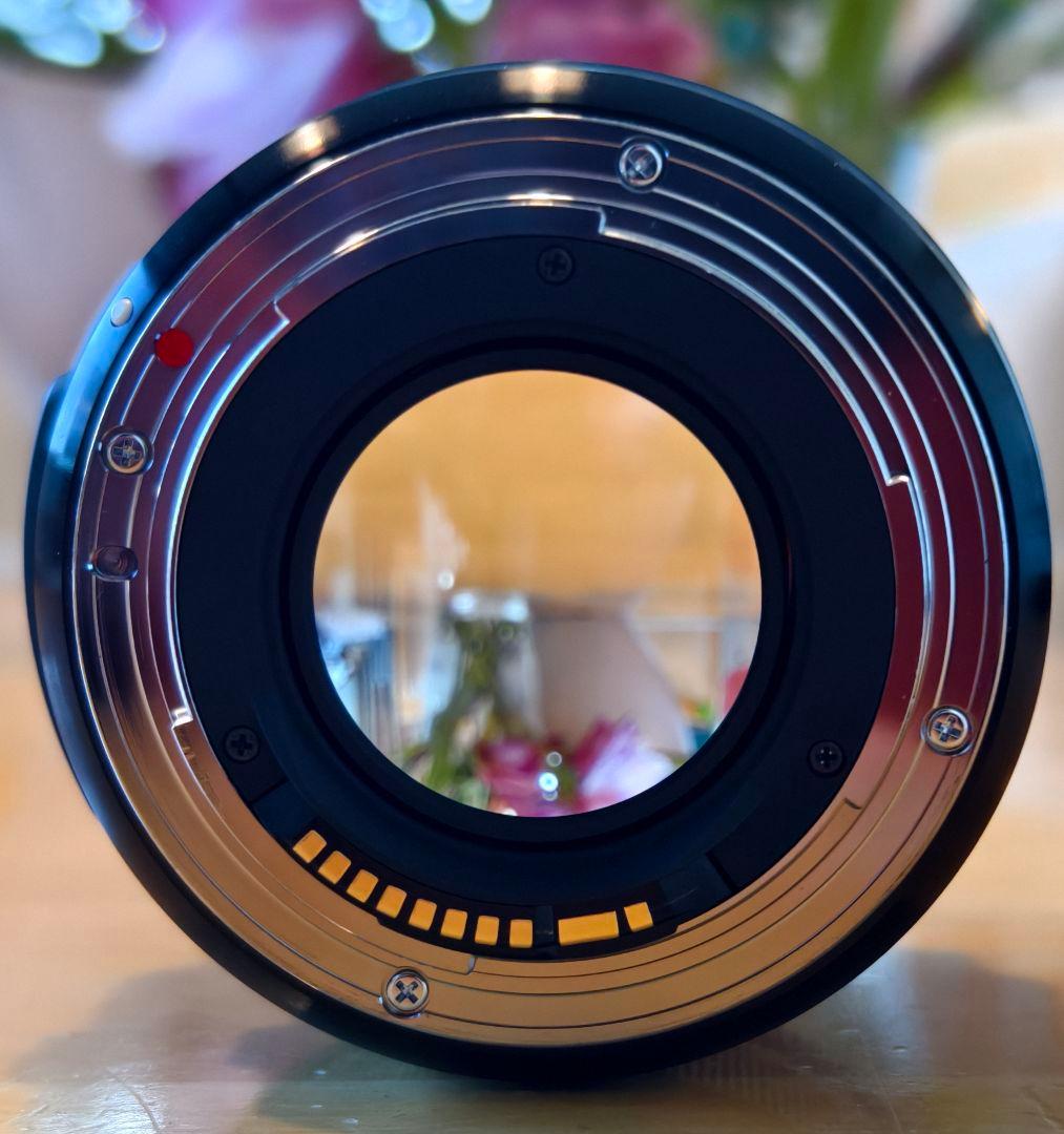 15%OFF【美品】シグマ 30mm F1.4 DC Artプロテクター付