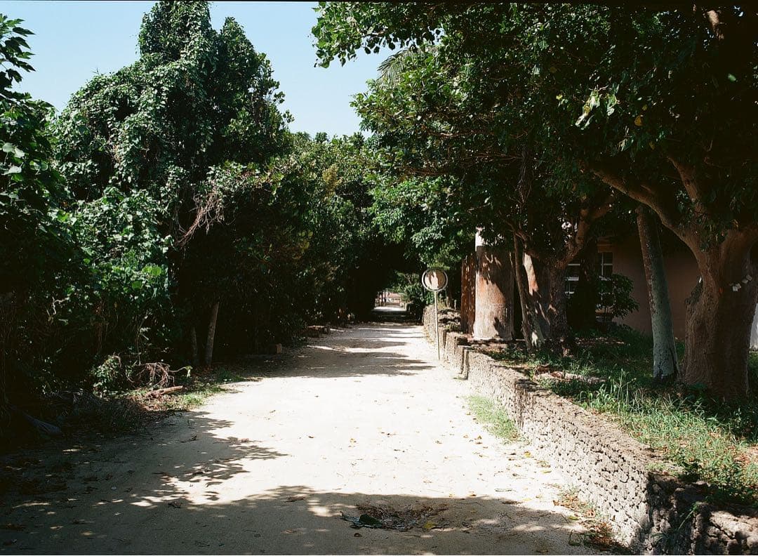 PENTAX 645 美品　試写済み