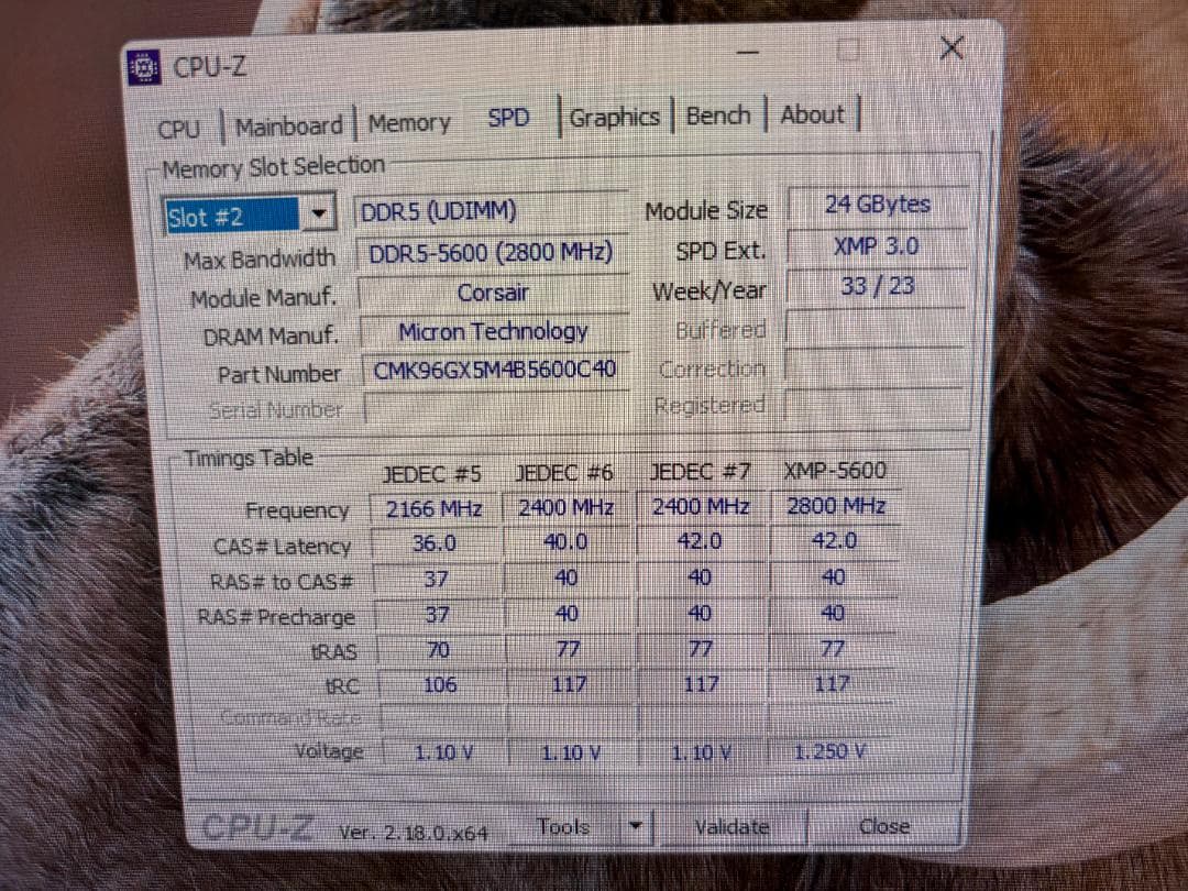 Corsair DDR5-5600 24GB×2枚 計48GB