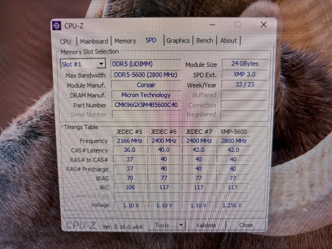 Corsair DDR5-5600 24GB×2枚 計48GB