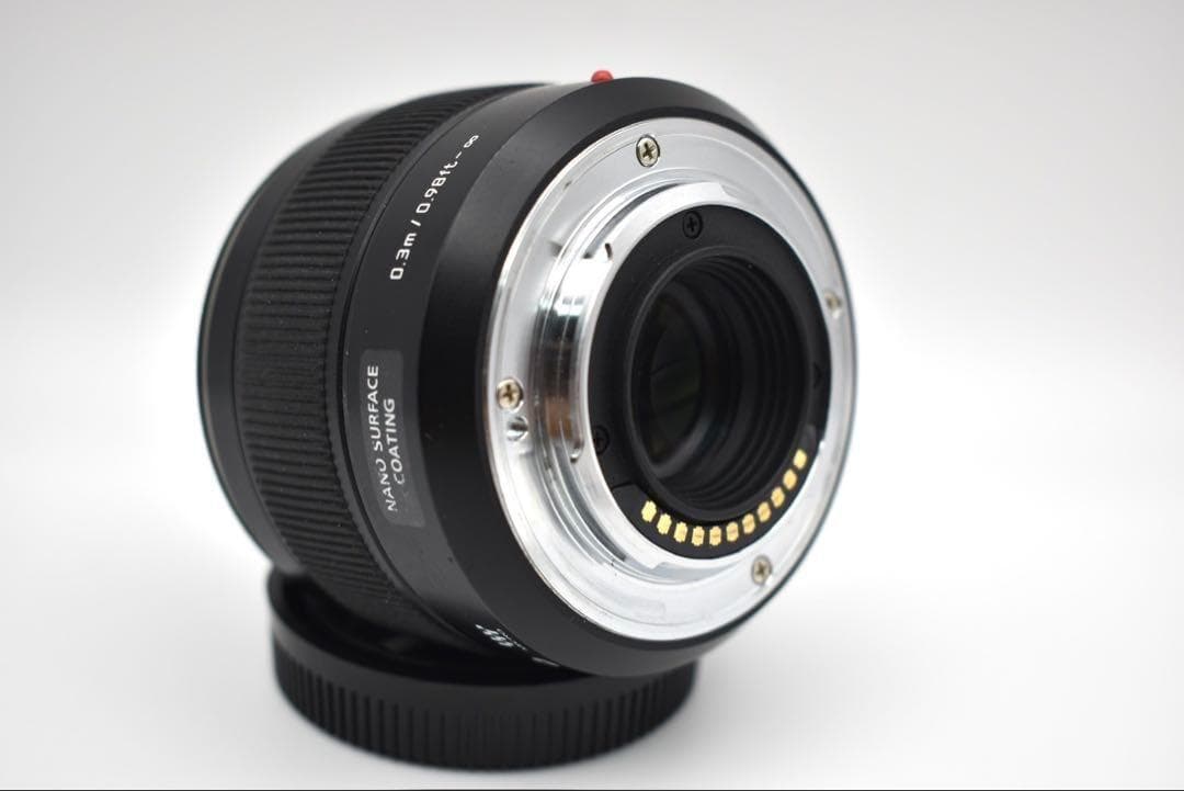 【フード付き】パナソニック Panasonic ライカ H-X025