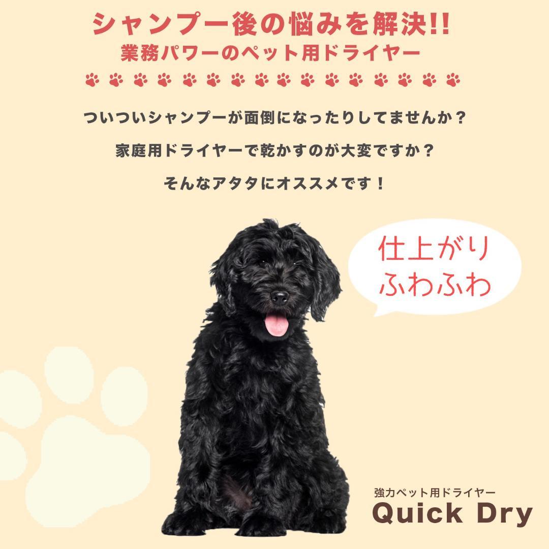 専用スタンドセット ペットドライヤー 業務用 犬 ドライヤー PSE適合 白