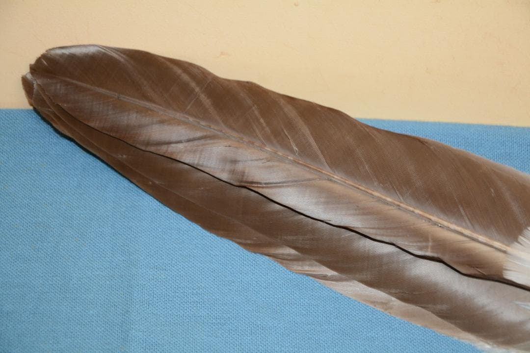 茶道具　羽箒　座箒　約51cm　炭手前 　古物　送料込み