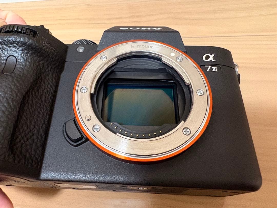 SONY α7 III 本体(シャッター回数16369)