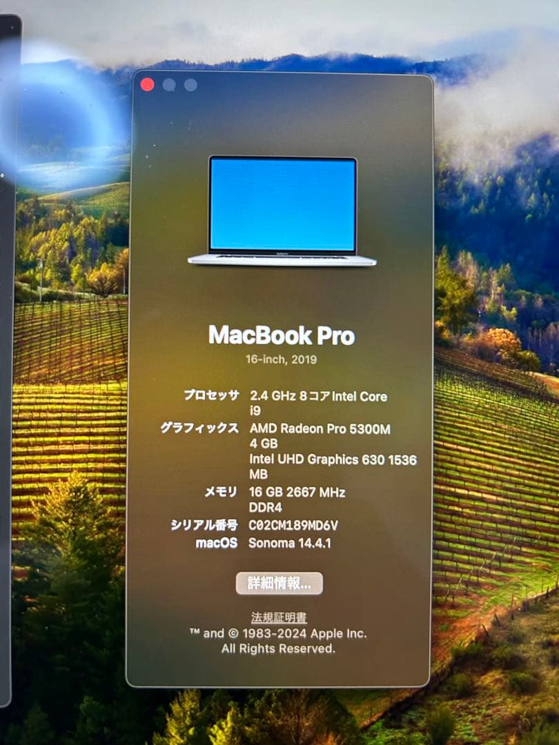 コ*ラ様 MacBook Pro 2019 16インチ i9 メモリ16GB