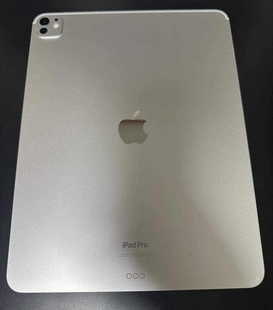 13インチ iPad pro (M4) WiFi 256gb