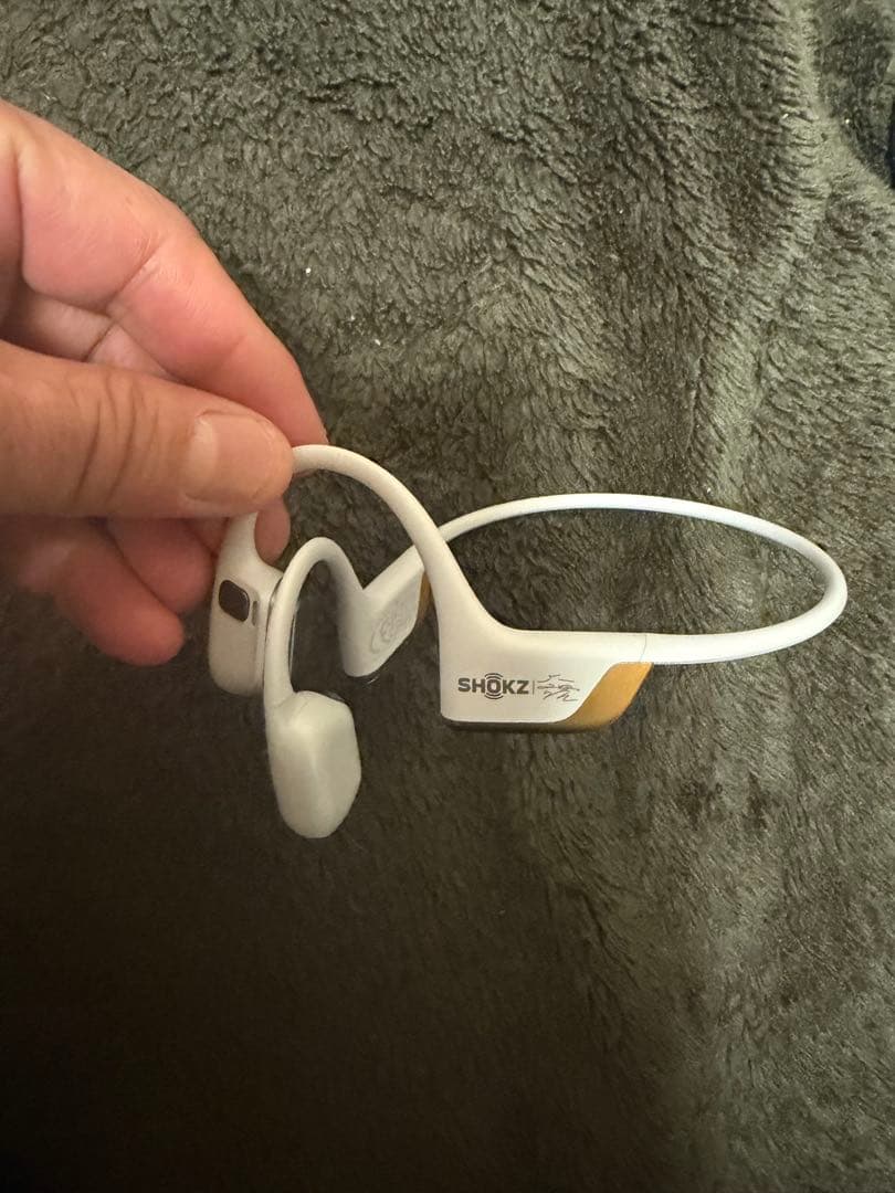 naoさん専用！Shokz OpenRun Pro 2 Mini（シルバー）