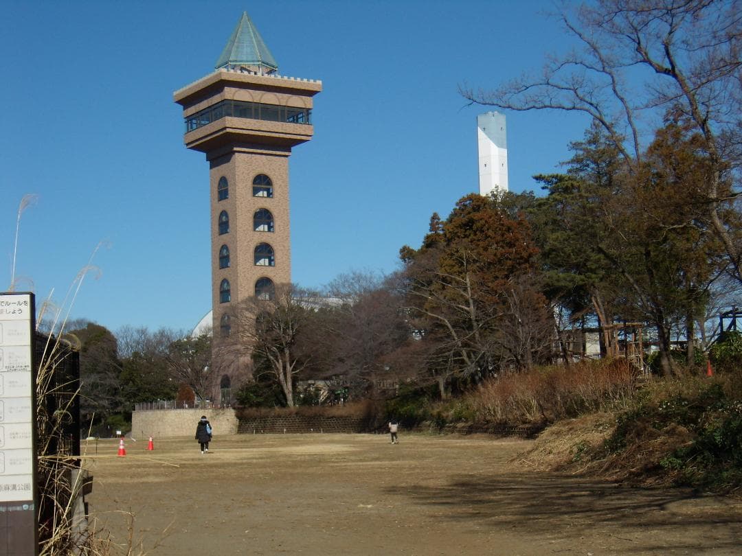 Olympus FE-200 6.0MPデジタルカメラ　xdカード付 #5279