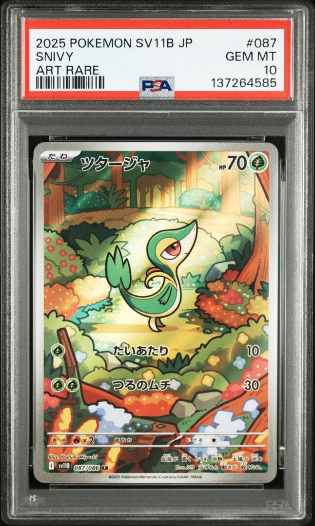 (25-07-339)【PSA10】ミジュマル ポカブ ツタージャAR3連番