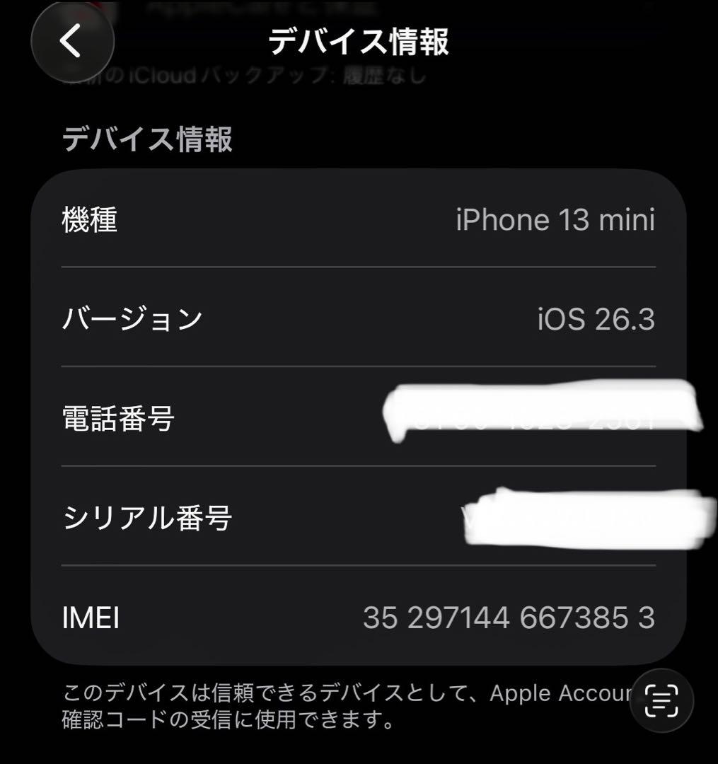 iPhone 13 mini 本体 ブルー