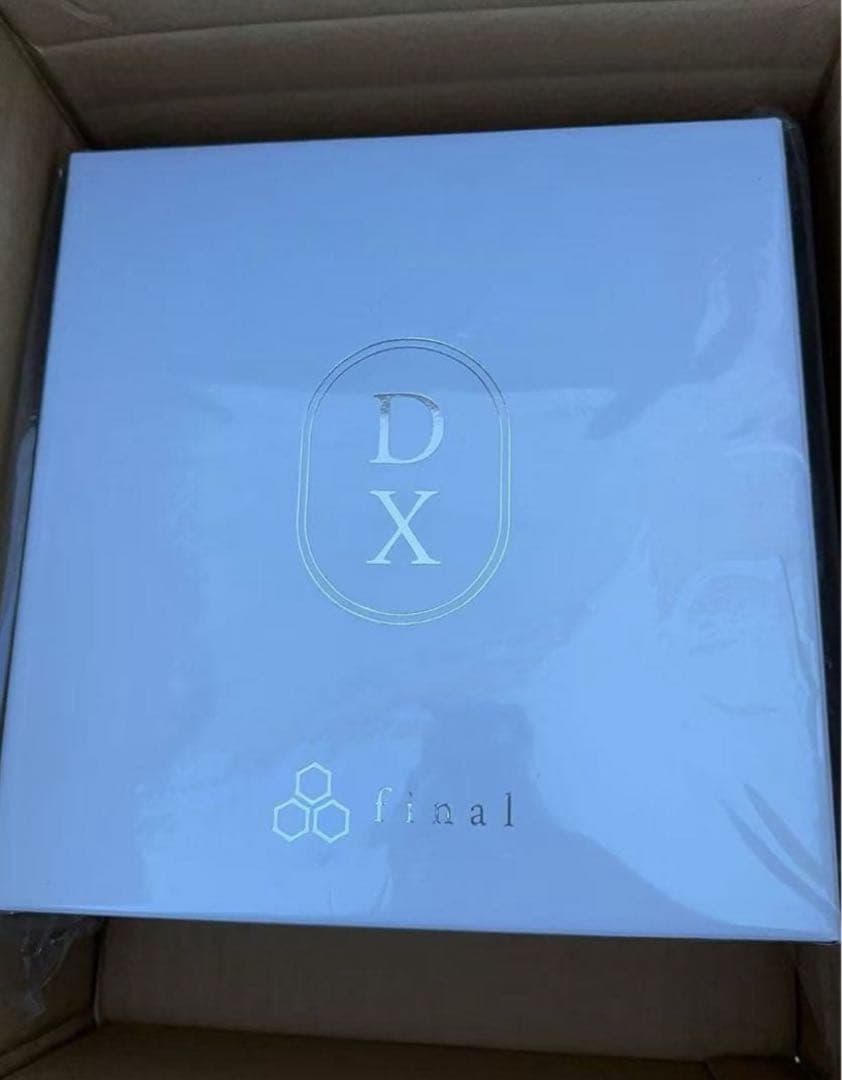 未使用 final DX3000 CL 【付属品完備】