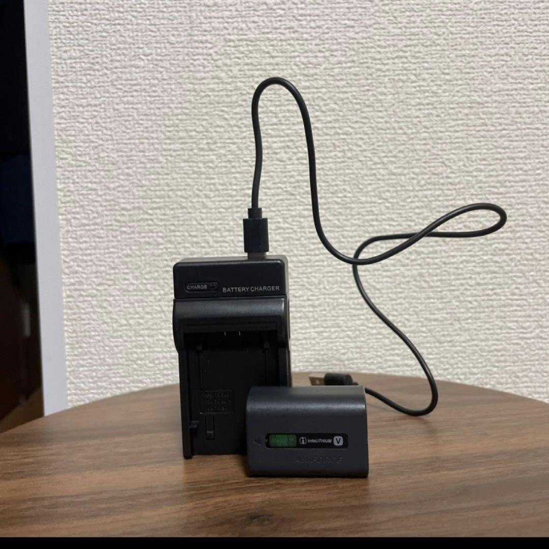 SONY HANDYCAM HDR-CX480 バッテリー、充電器付き