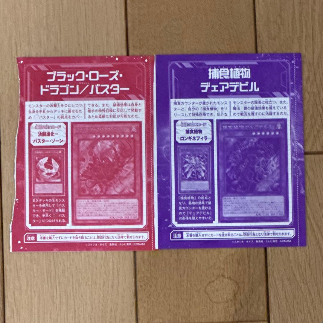 遊戯王OCG ブラック・ローズ・ドラゴン・バスター x10