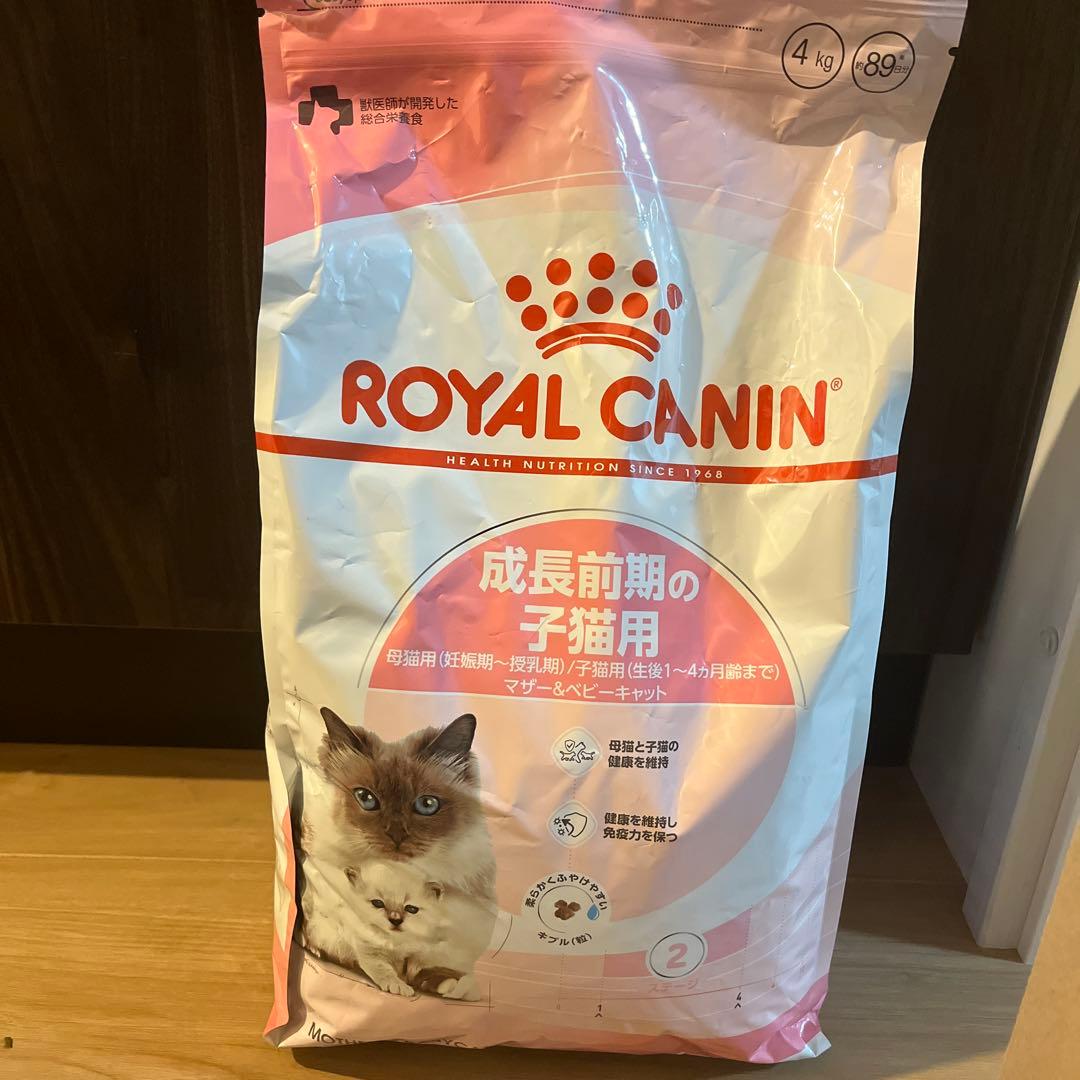  CANIN 子猫用 ドライフード 4kg