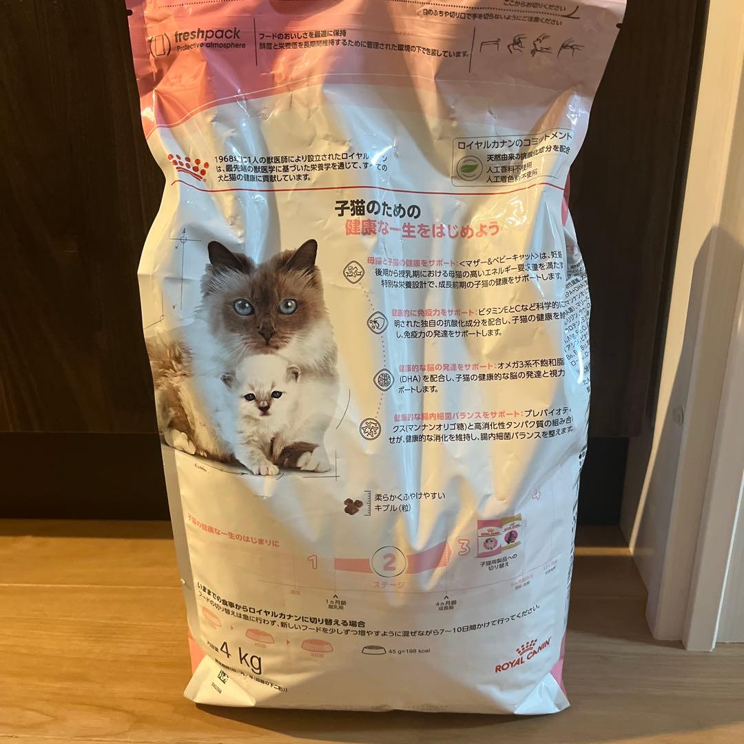  CANIN 子猫用 ドライフード 4kg