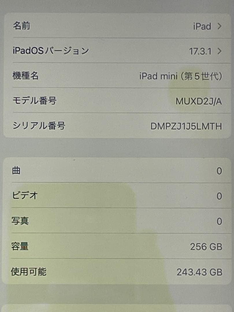 【E】iPad mini 第5世代 256GB シルバー 判定【ー】