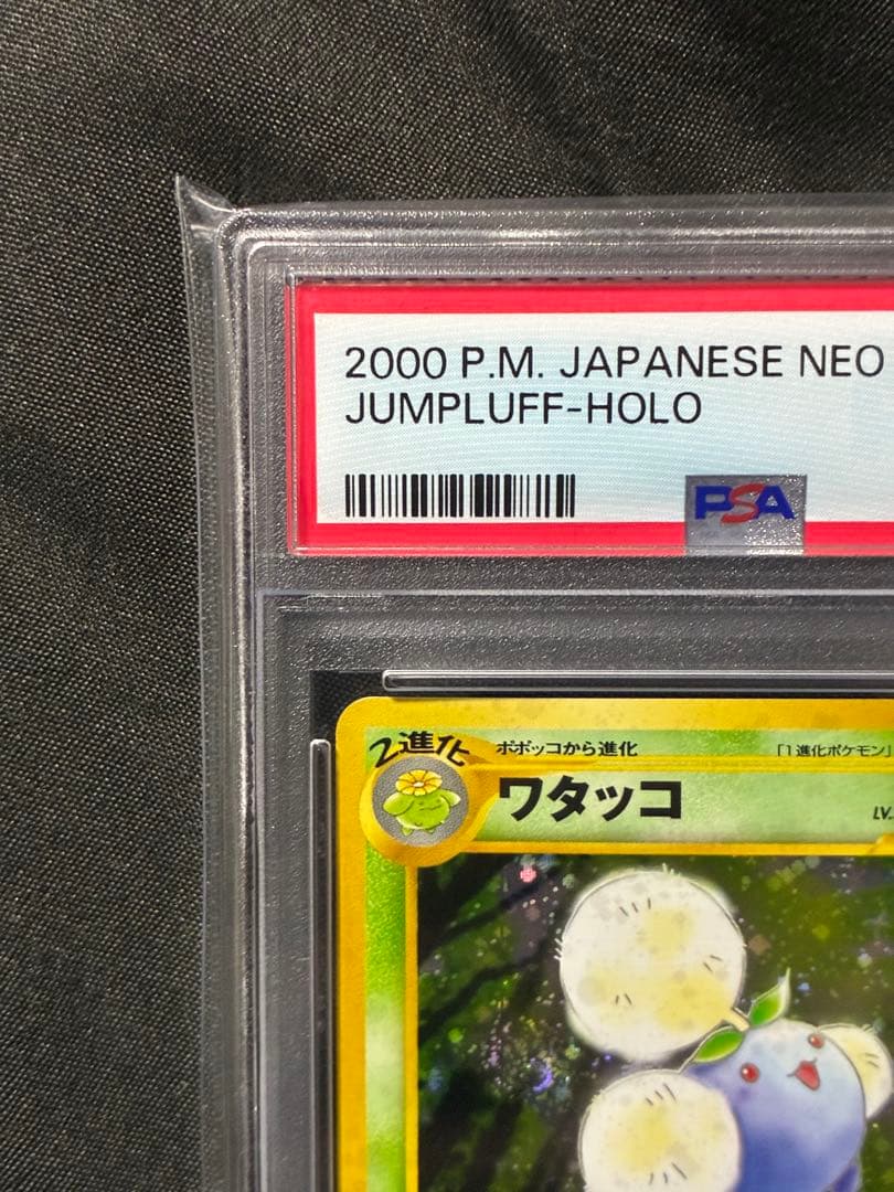 渦巻き 世界340枚 PSA10 ワタッコ 旧裏 2000 189 53